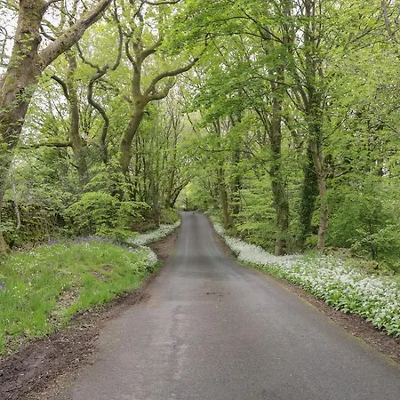 Mollys Pantry * Ulverston